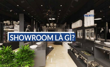 Showroom là gì và làm sao để thiết kế được một showroom đẹp?