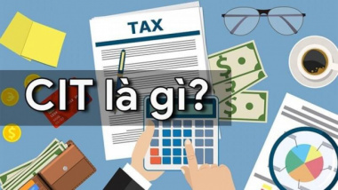 CIT là gì và những quy định pháp luật về thuế CIT cần nắm rõ