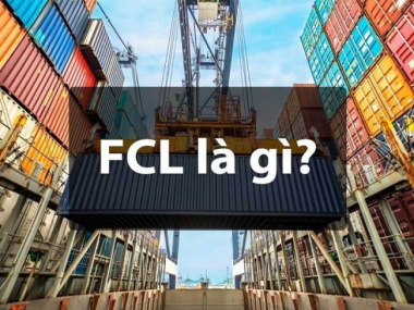 FCL là gì? Những kiến thức cơ bản về vận tải ngành Logistic