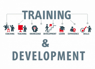 Training là gì? Tầm quan trọng của quá trình training đối với doanh nghiệp