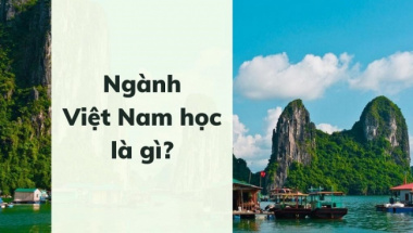 Ngành Việt Nam học là gì? Học ngành Việt Nam học ra trường làm gì?